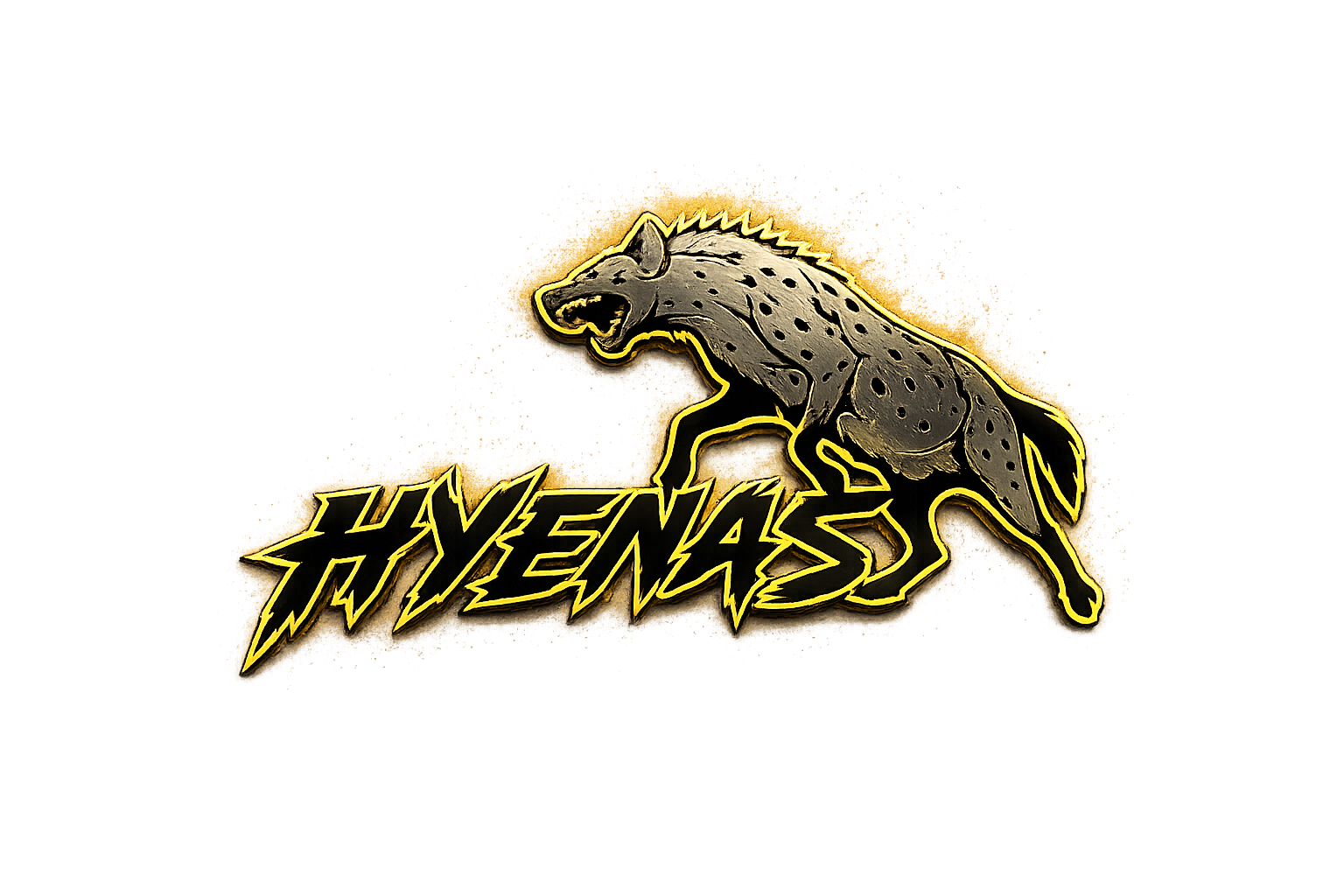 Organization Logo